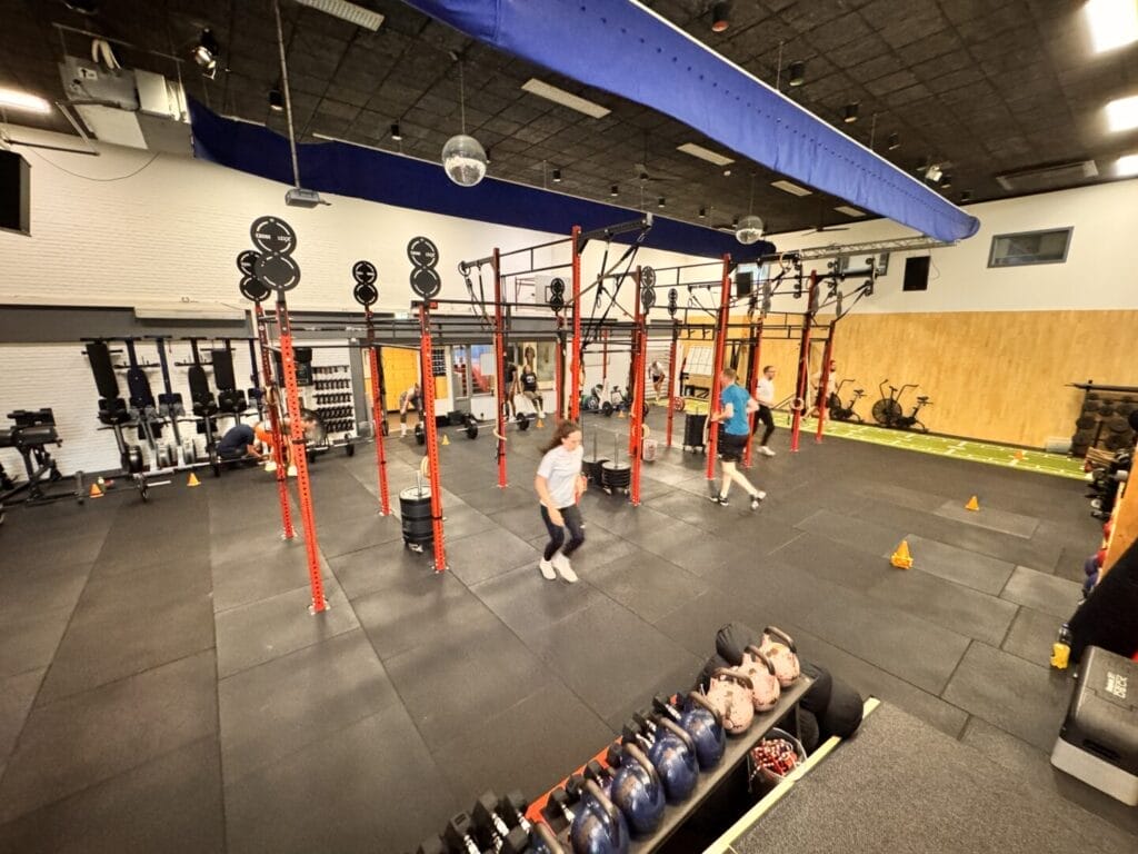 rossfit te heftig? – ring rows als veilige schaaloptie voor pull-ups